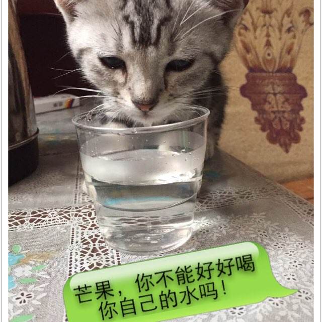 查房产证用什么app
